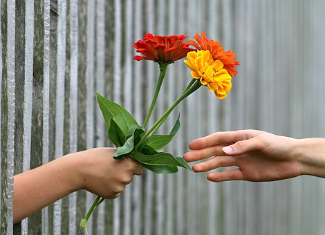 hand-1549224__340-1